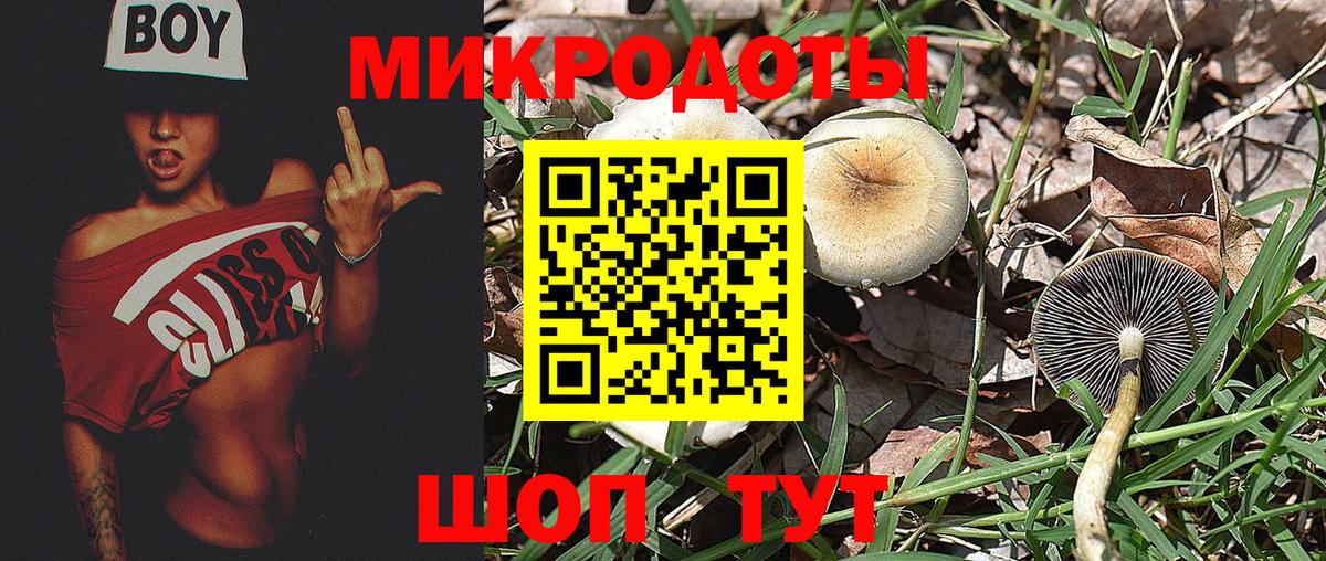 Галлюциногенные грибы GOLDEN TEACHER  Вход с VPN  Галлюциногенные грибы MAGIC MUSHROOMS  Южно-Сахалинск 