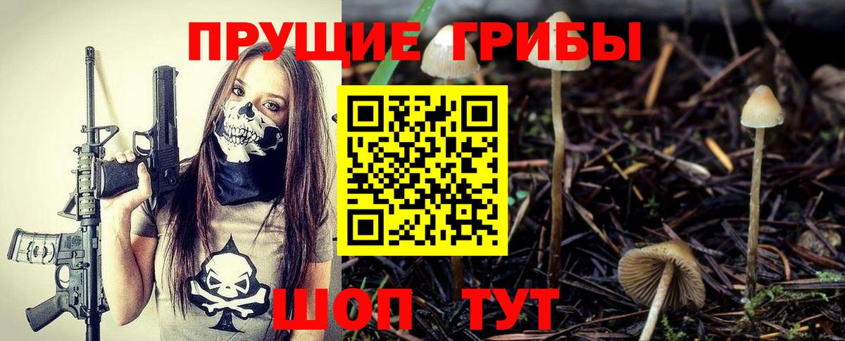 Галлюциногенные грибы Psilocybine cubensis Южно-Сахалинск